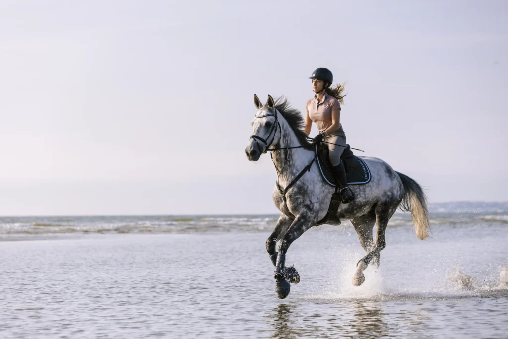 Shooting photo à la plage de Deauville avec des chevaux